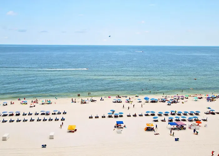 San Carlos 1001 By Youngs Suncoast Gulf Shores