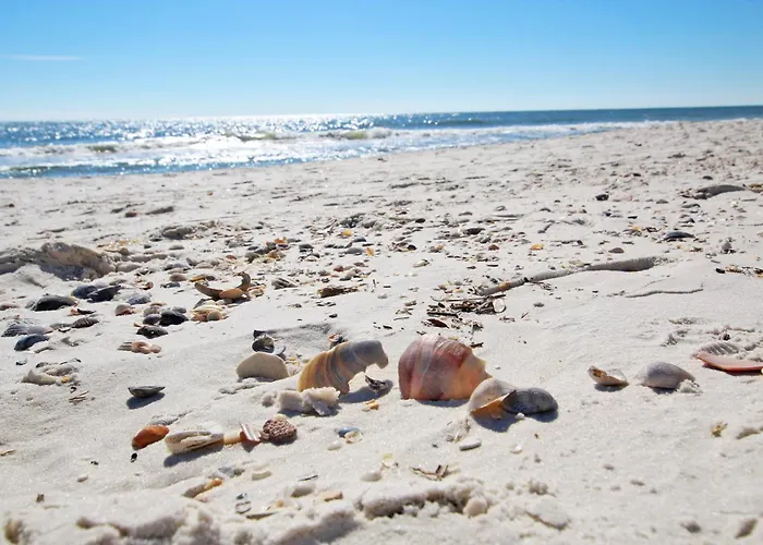 San Carlos 1001 By Youngs Suncoast Apartment Gulf Shores