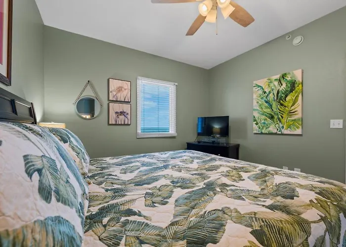 San Carlos 1001 By Youngs Suncoast Apartment *